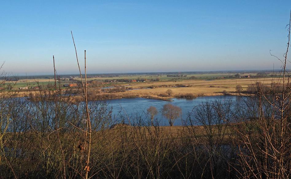 Ferienwohnung Am Waldrand, Hitzacker Bagian luar foto